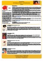 Newsletter Bestsellers Oktober 2020.pdf