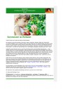 2023 Juli - Sommerzeit ist Reifezeit.pdf